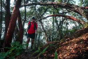 BIB: 
                            <button type="button" onclick="openModal(26344343)" class="btn btn-primary btn-sm float-right btn-popup" data-toggle="modal" data-target=".modal-high-quality">
                        <i class="fas fa-shopping-cart"></i> Add to Cart
                    </button>
                                            <button type="button" onclick="isThisMe(26344343, true)" class="btn btn-success btn-sm float-right btn-popup btn-isme hidden" data-toggle="tooltip" data-placement="bottom" title="นี่คือรูปของคุณใช่ไหม คลิกที่นี่เพื่อเอาเข้าอัลบั้ม">
                        <i class="fas fa-plus"></i> Add to album
                    </button>
                    <button type="button" onclick="isThisMe(26344343, false)" class="btn btn-warning btn-sm float-right btn-popup btn-isnotme hidden">
                        <i class="fas fa-ban"></i> Remove from album
                    </button>